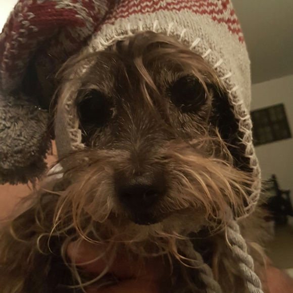 Meet your Posher, Mayra - Picture 3 of 10